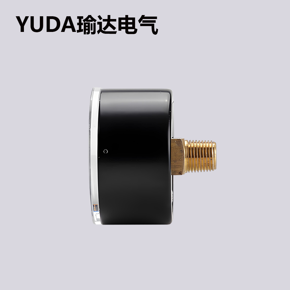 轴向压力表（无边）